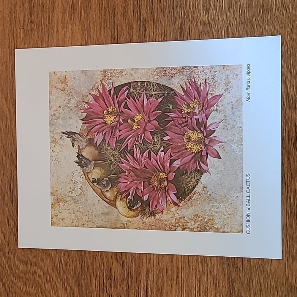 VIVIAN THIERFELDER VINTAGE FLORAL ART PRINTS, Unframed - Picture 15 of 16